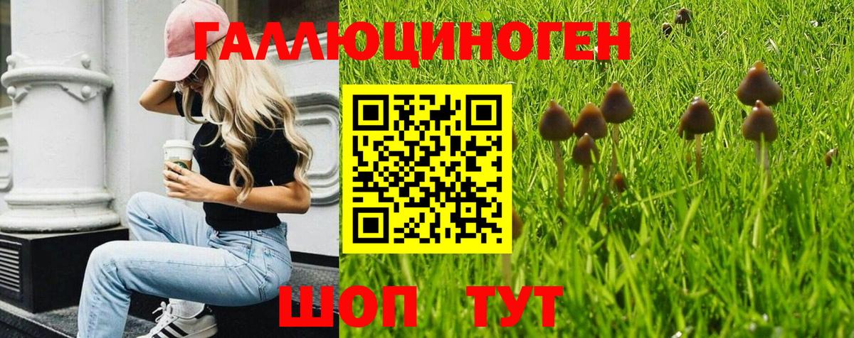Псилоцибиновые грибы MAGIC MUSHROOMS  Вход с VPN  закладки  Псилоцибиновые грибы мухоморы  Орёл 
