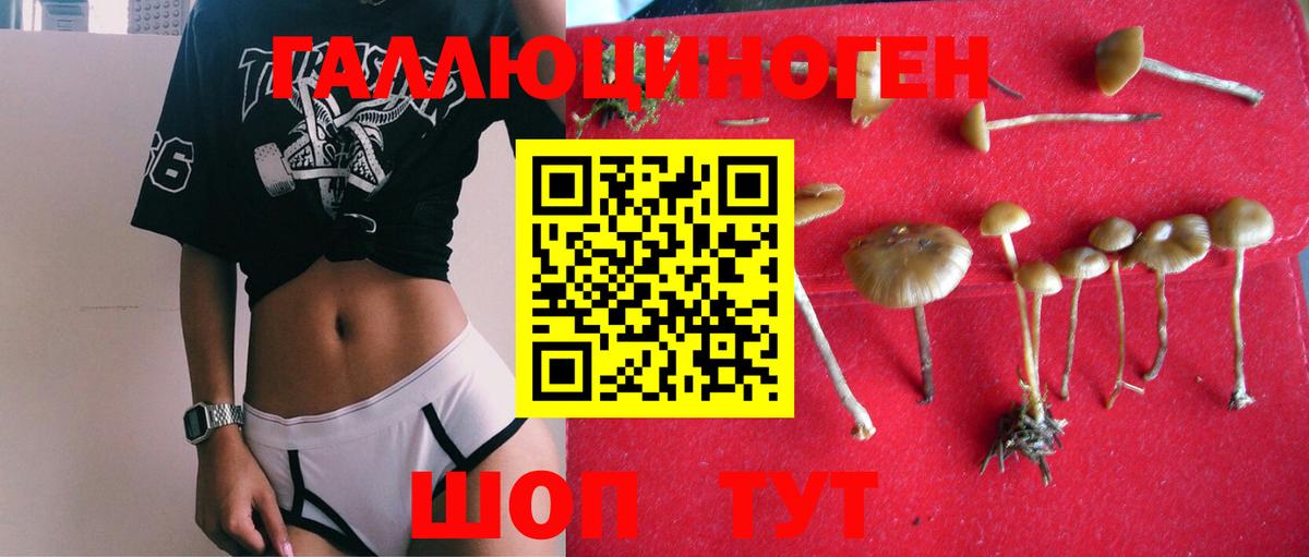 Галлюциногенные грибы мухоморы Орёл